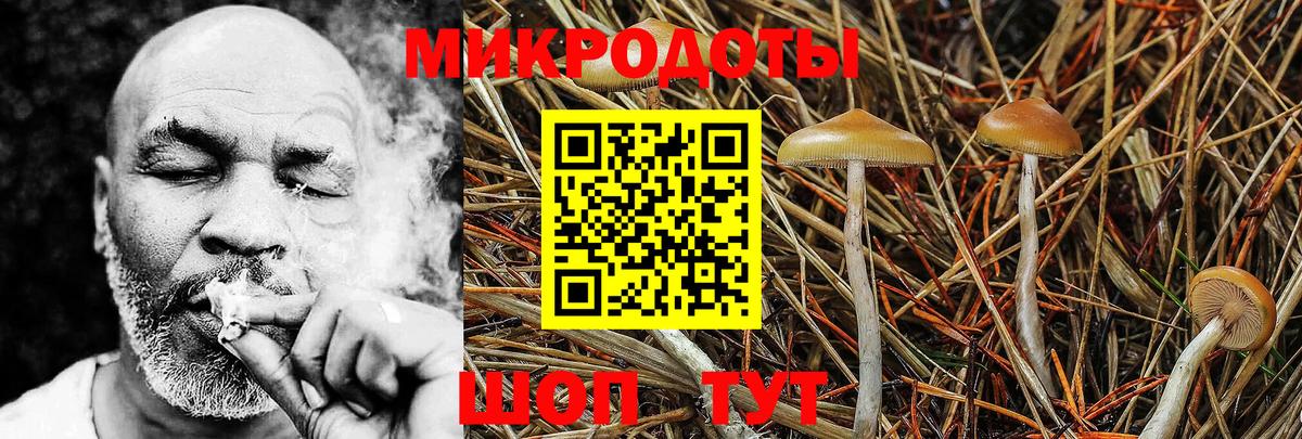 Псилоцибиновые грибы прущие грибы Кашира