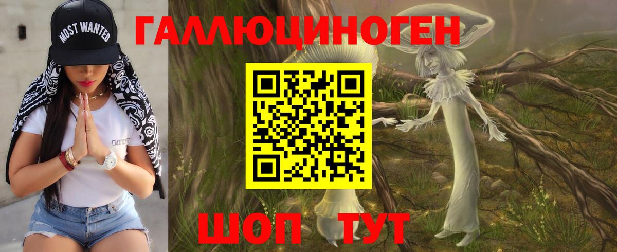 где продают   Галлюциногенные грибы Cubensis  Вход с VPN  Кашира 